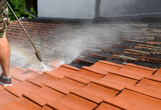 Best Roof Power Washing Services  in Vincent, CA