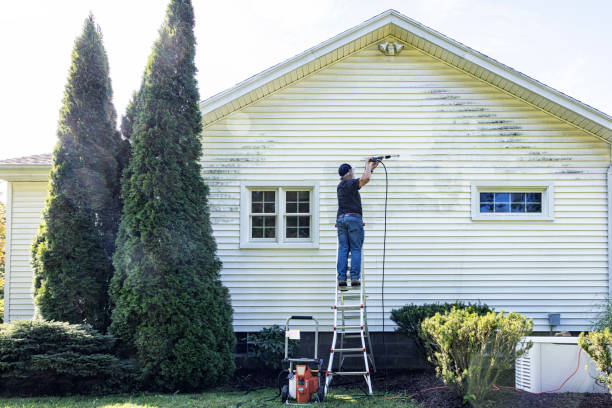 Best Affordable Power Washing  in Vincent, CA