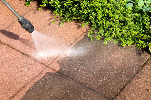 Best Roof Pressure Washing  in Vincent, CA